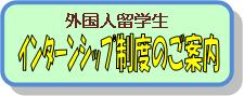 インターンシップ制度.jpg